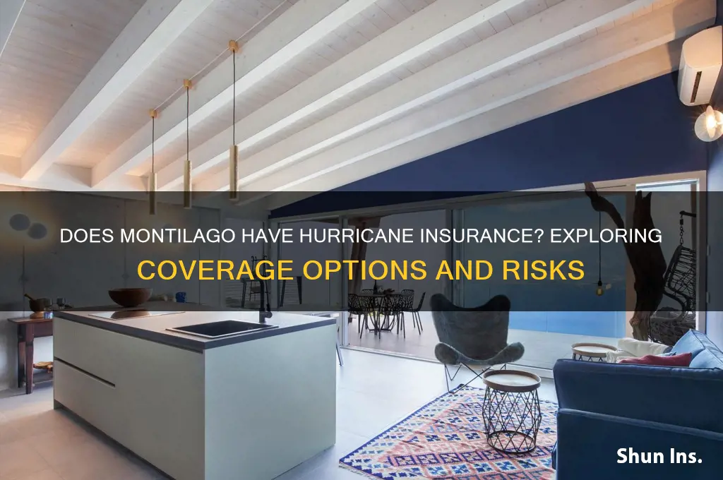 does montilago have hurricain insurance