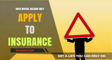 Moral Hazard: Beyond Insurance Risks