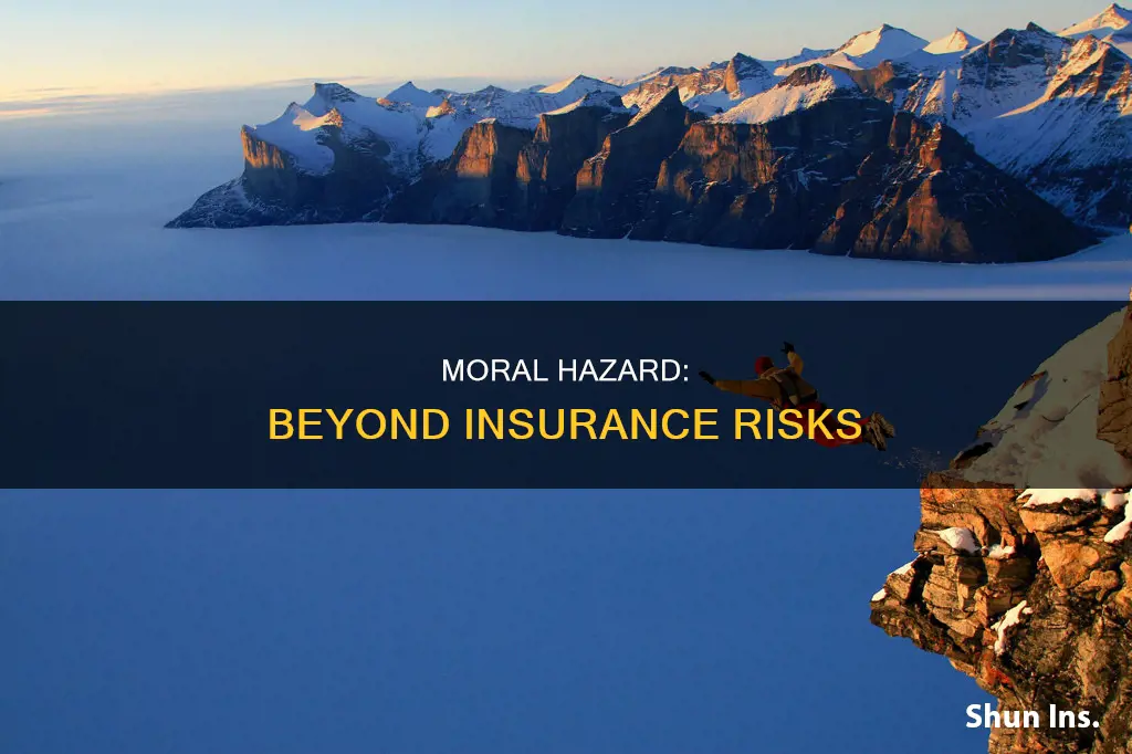 does moral hazard only apply to insurance