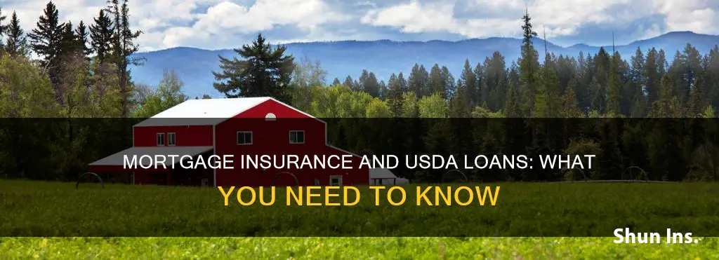 does mortgage insurance go away on usda loans