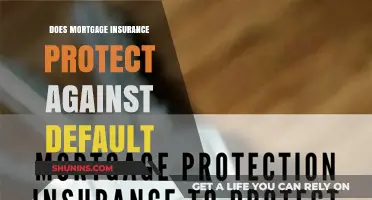 Mortgage Insurance: Protecting Lenders Against Default Risk