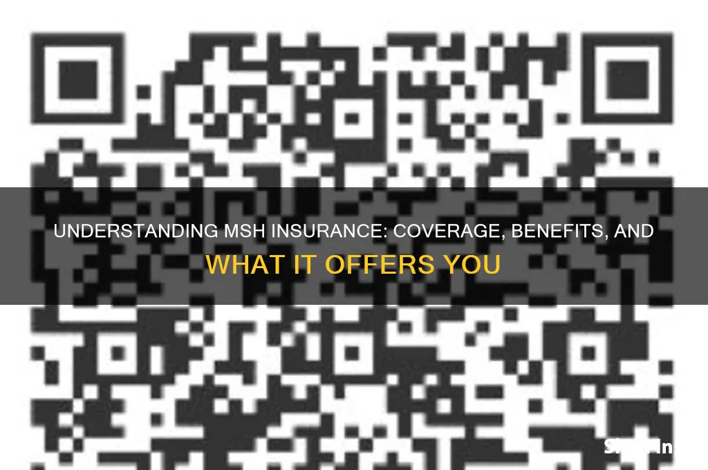 does msh insurance