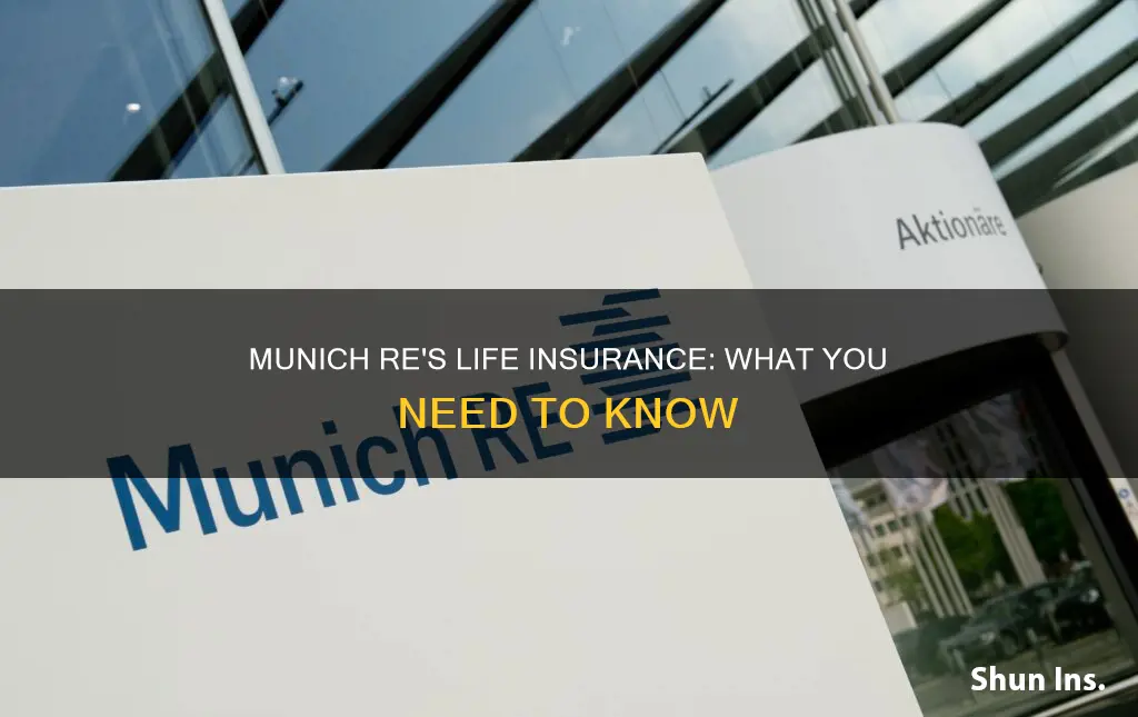 does munich re sells life insurance