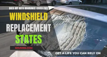 Windshield Woes: Understanding Auto Insurance Coverage for Free Replacement States