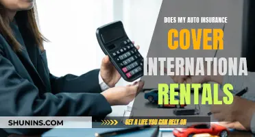 Auto Insurance Abroad: Unraveling the Mystery of International Rental Coverage