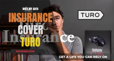 Auto Insurance: Turo Covered?