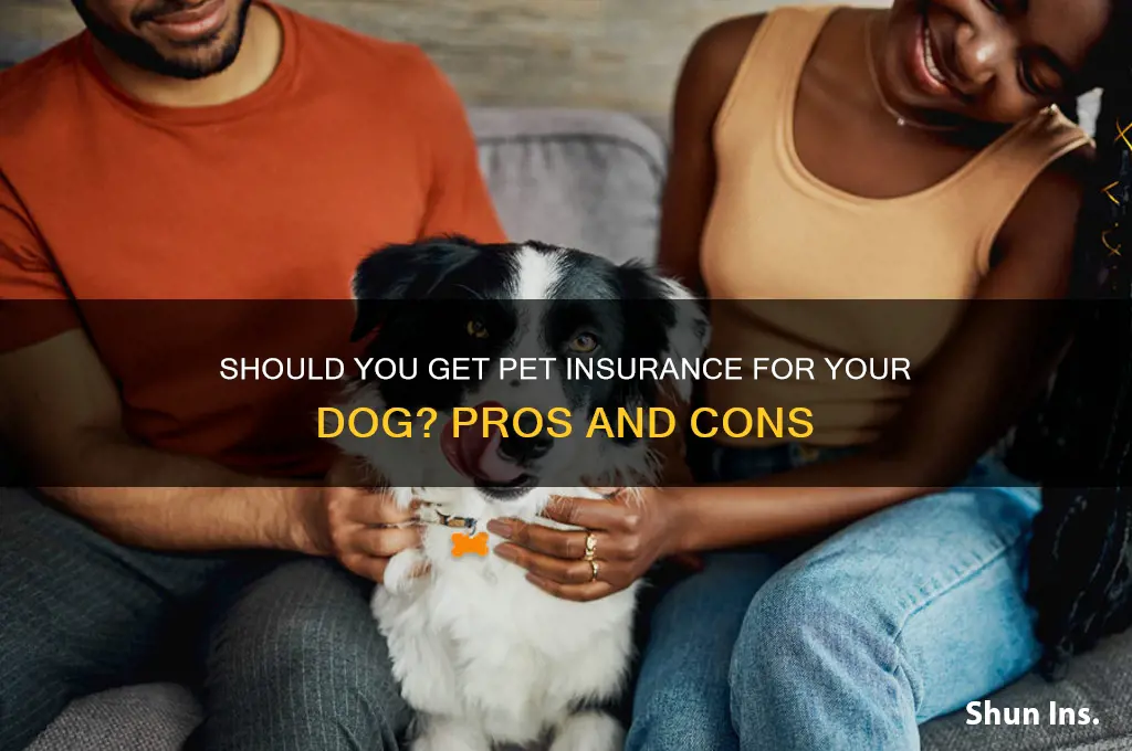 does my dog have to have insurance