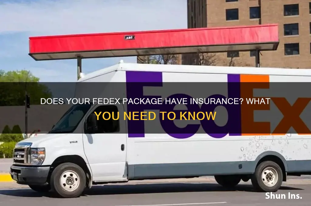 does my fedex package have insurance