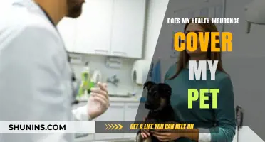 Does Health Insurance Cover Pets? What Pet Owners Need to Know
