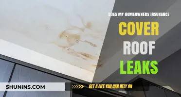 Homeowners Insurance: Does It Cover Roof Leaks?