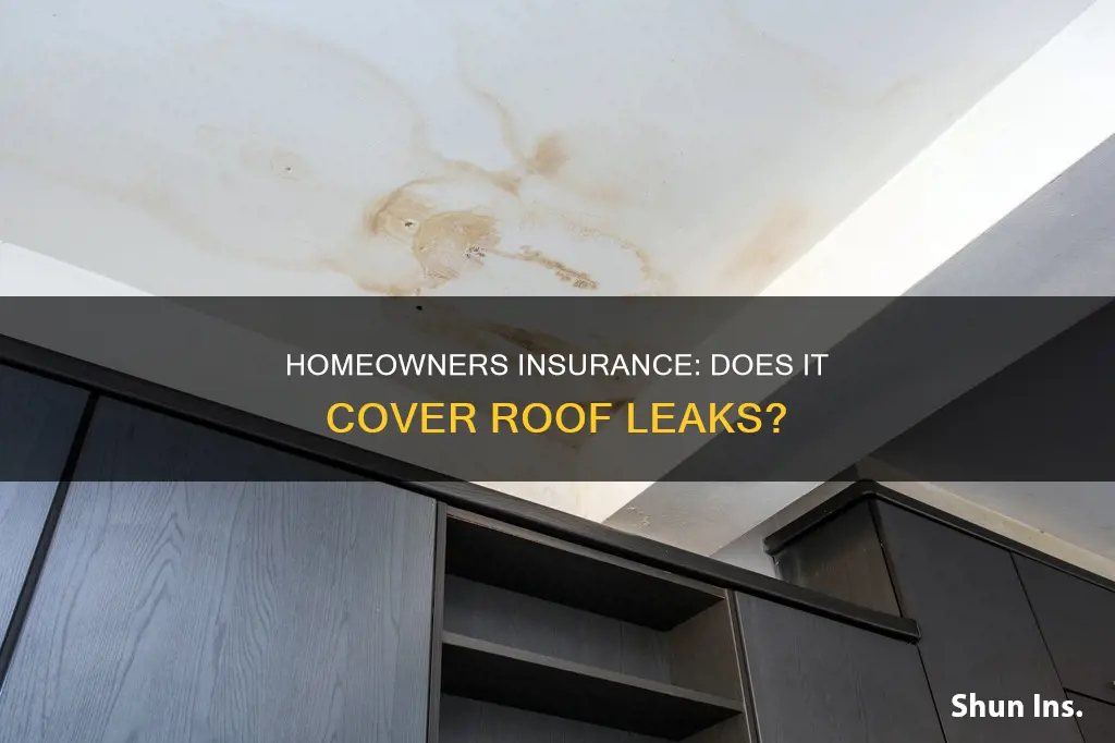 does my homeowners insurance cover roof leaks