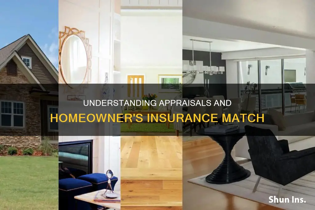 does my homeowner