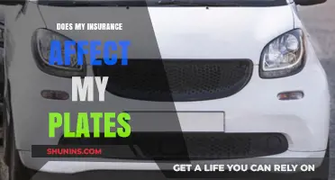 Insurance and License Plates: What's the Connection?