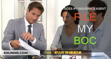 How Insurance Agents Help File Your BOC Claims