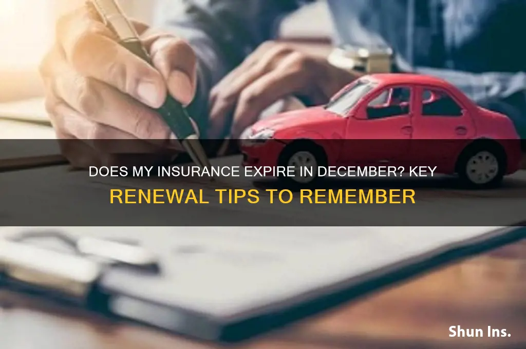 does my insurance expires in december