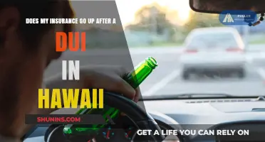 Hawaii DUI Insurance: What to Expect After a Conviction