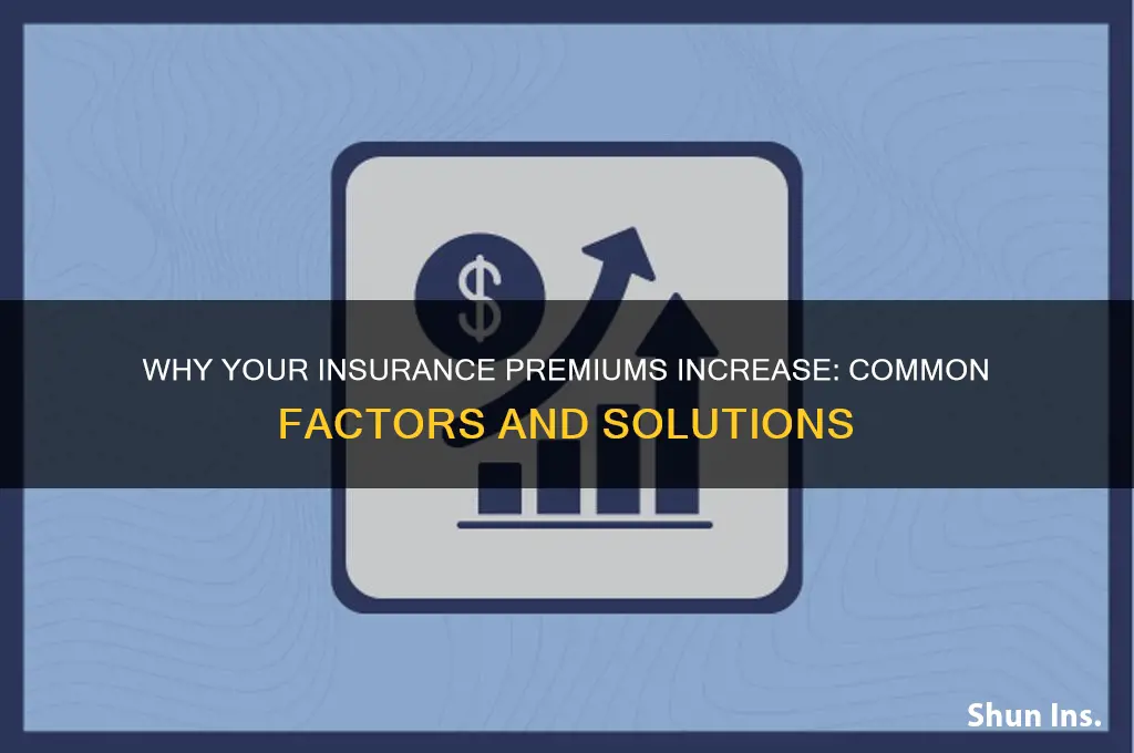 does my insurance raisd
