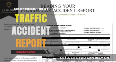Traffic Accidents: Insurance and Reporting