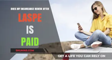 Insurance Renewal After Lapse: What Happens When You Pay Overdue Premiums?