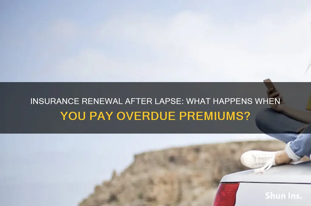 does my insureance renew after laspe is paid