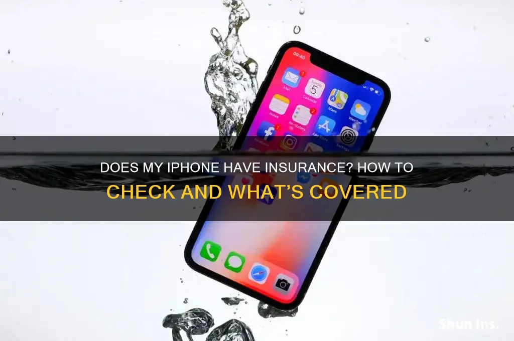 does my iphon have insurance