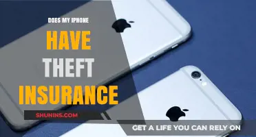 Does Your iPhone Have Theft Insurance? What You Need to Know