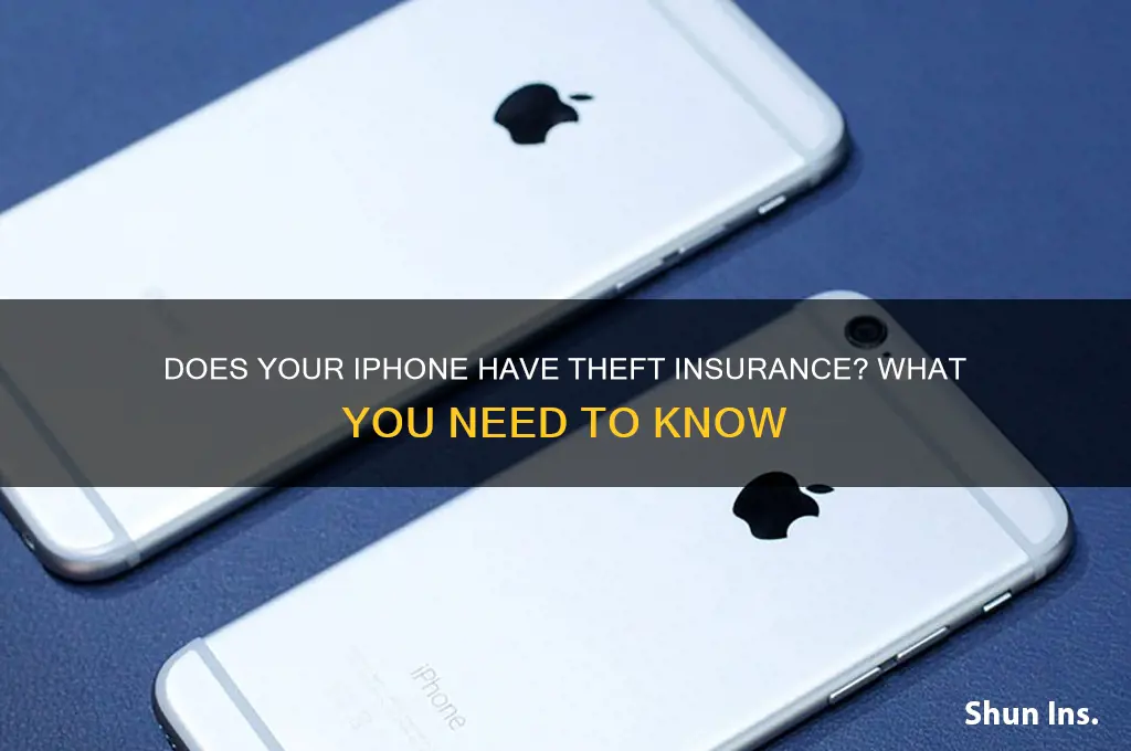 does my iphone have theft insurance