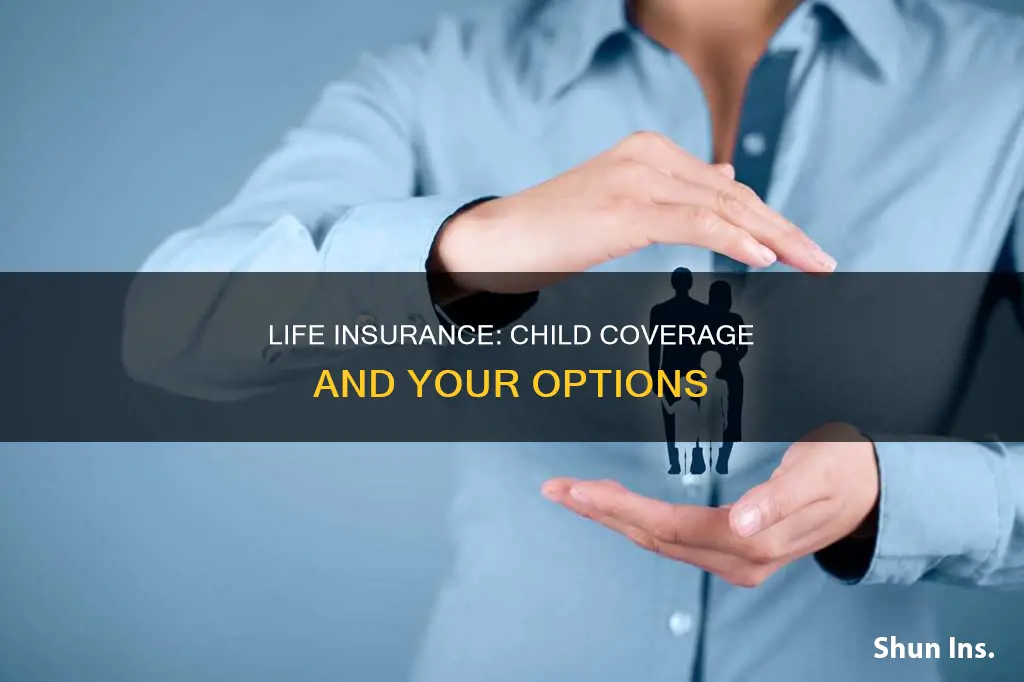 does my life insurance cover my child