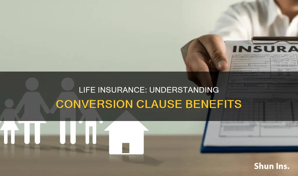 does my life insurance have a conversion clause