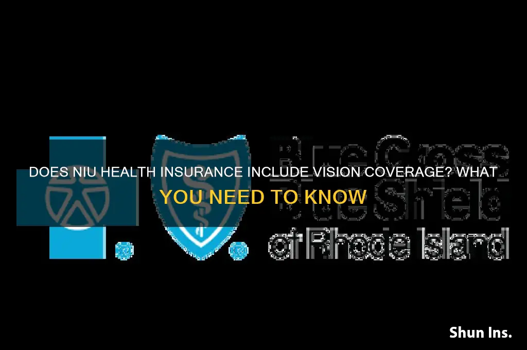 does my niu health insurance cover vision