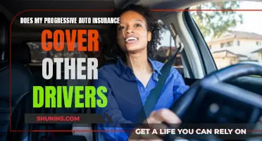 Progressive Auto Insurance: Understanding Coverage for Other Drivers