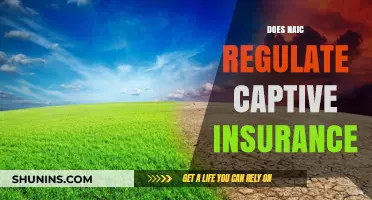 Does the NAIC Regulate Captive Insurance? Key Insights Explained