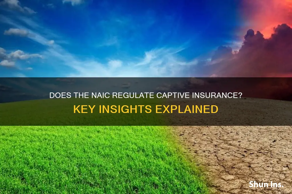 does naic regulate captive insurance