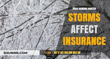 Winter Storm Names: Impacting Insurance Claims and Public Awareness