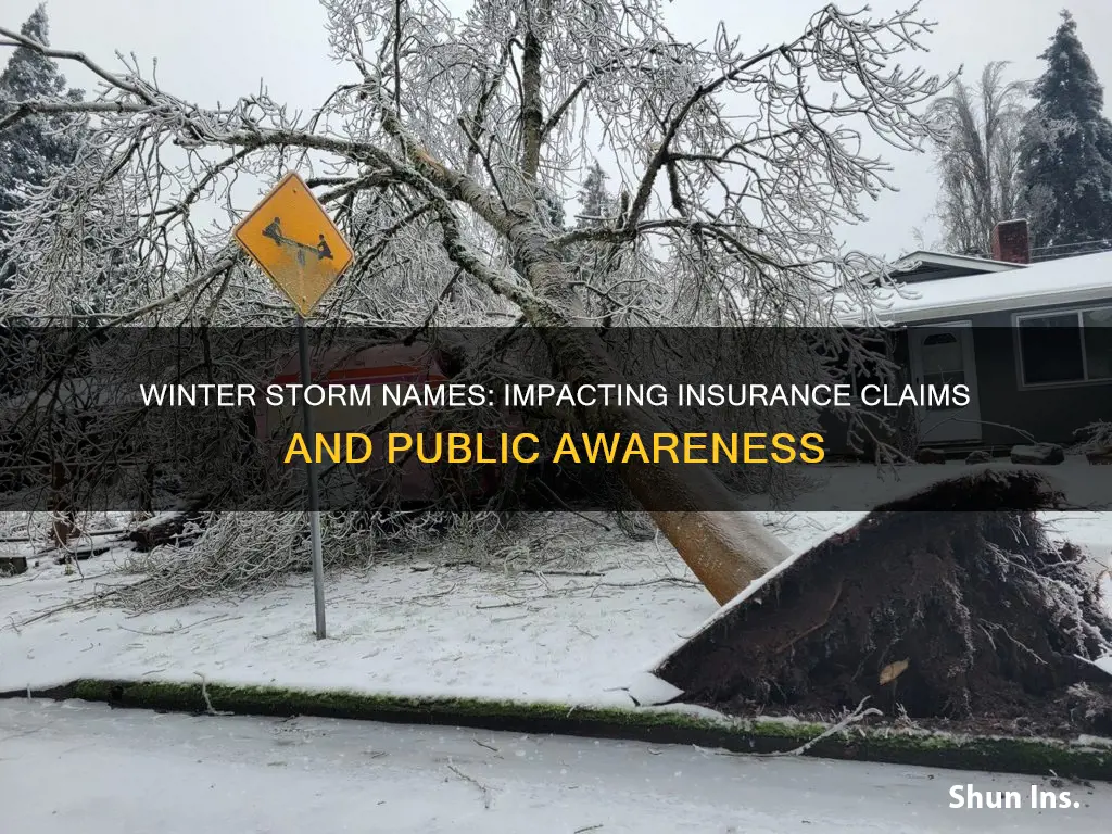 does naming winter storms affect insurance