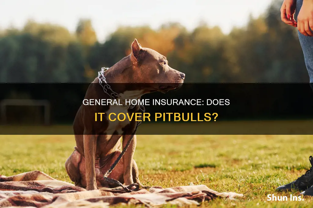 does national general homeowners insurance cover pitbulls