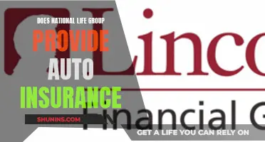 National Life Group: Auto Insurance Options and Insights