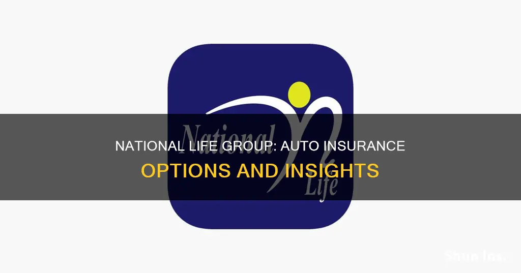 does national life group provide auto insurance