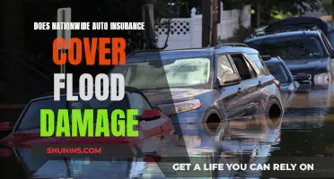 Nationwide Auto Insurance: Understanding Flood Damage Coverage