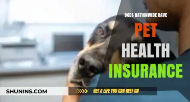 Does Nationwide Offer Pet Health Insurance? A Comprehensive Guide