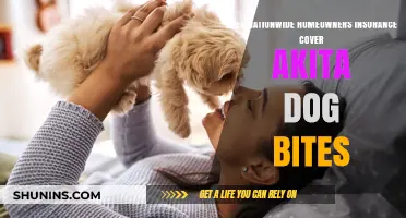 Nationwide Home Insurance: Are You Covered for Akita Dog Bites?