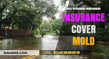 Nationwide Homeowners Insurance: Does It Cover Mold?