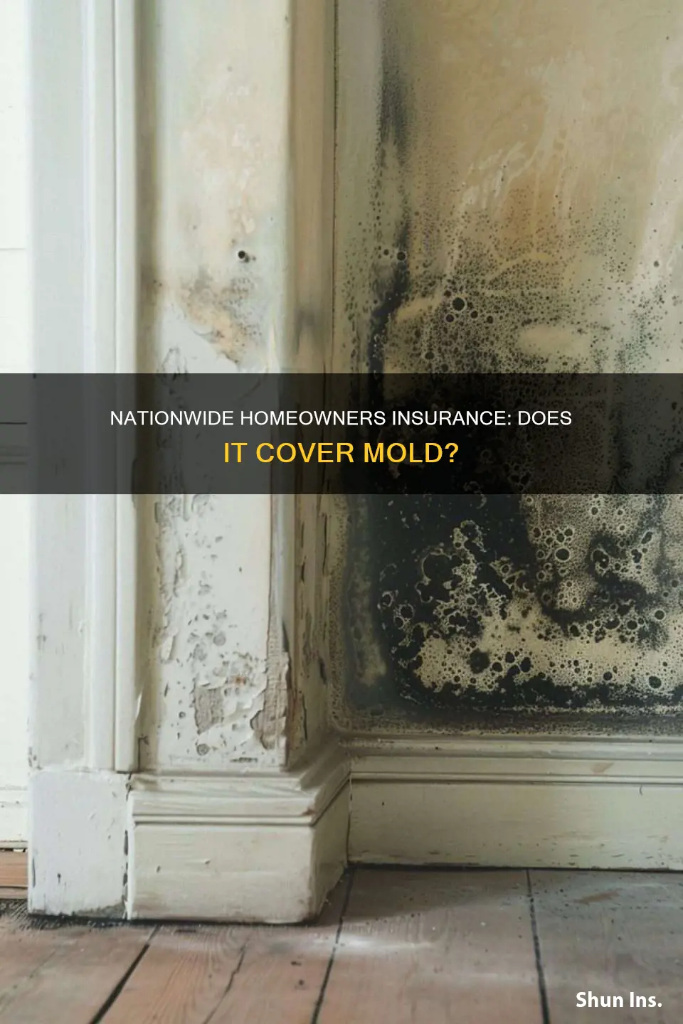 does nationwide homeowners insurance cover mold