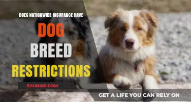Nationwide Insurance Dog Breed Restrictions: What You Need to Know