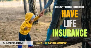 Navy Federal Credit Union: Life Insurance Options Explored