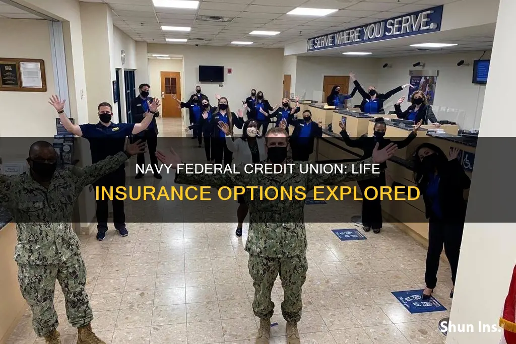 does navy federal credit union have life insurance