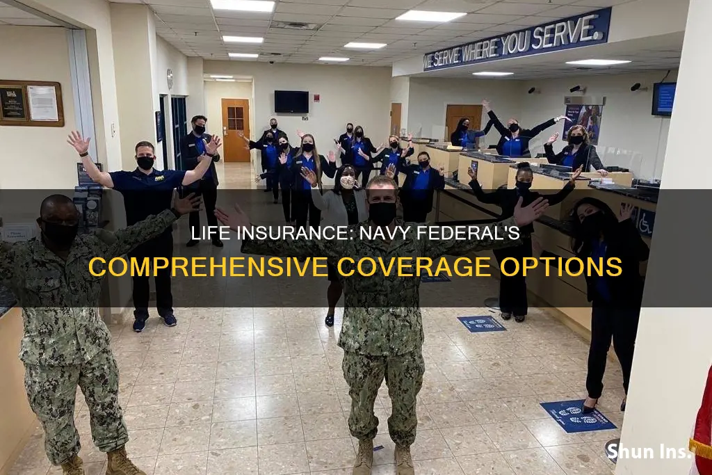 does navy federal offer life insurance