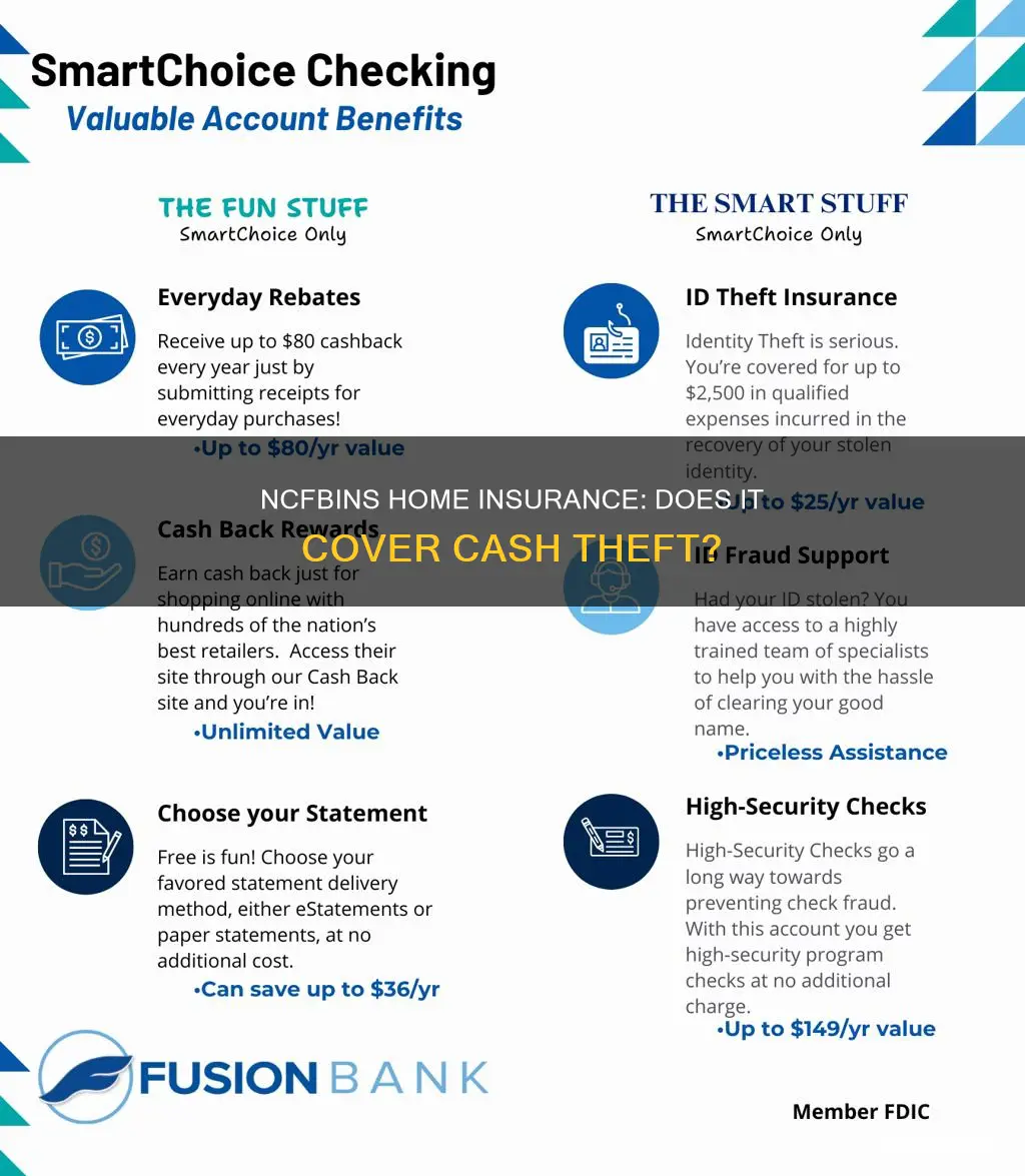 does ncfbins homeowners insurance cover theft of cash