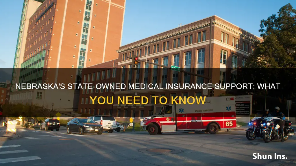 does nebraska have a state owned medical insurance help