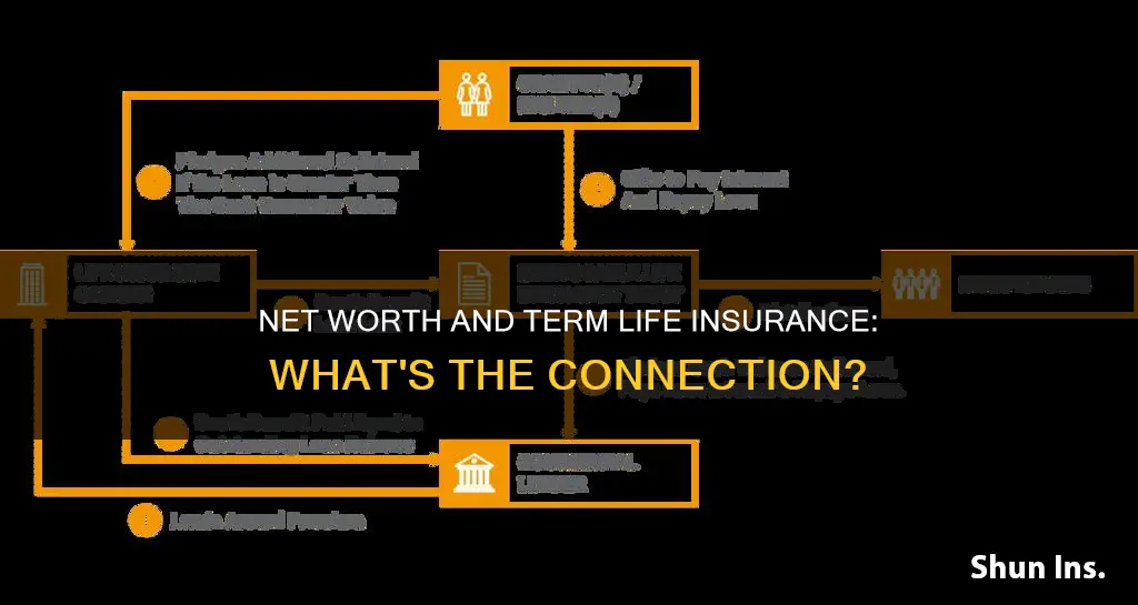 does net worth include term life insurance